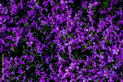 nature19