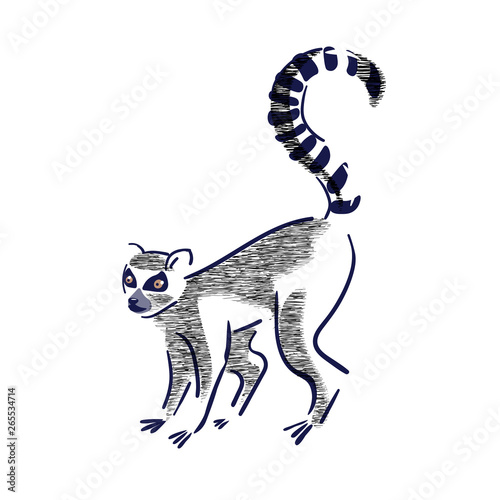 Silhouette of lemur catta  on a white background.Wildlife enviroment protection. Vector illustration  hand drawn.