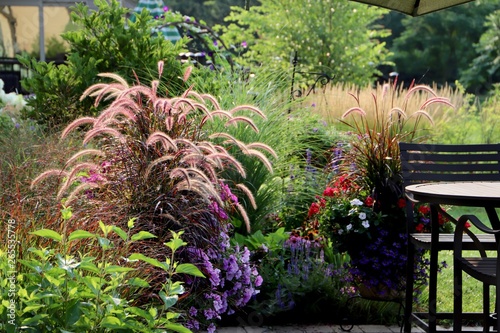 Relaxing Summer Gardenscape with ornamental grasses, pennisetum and Karl Forester  reed grasses 