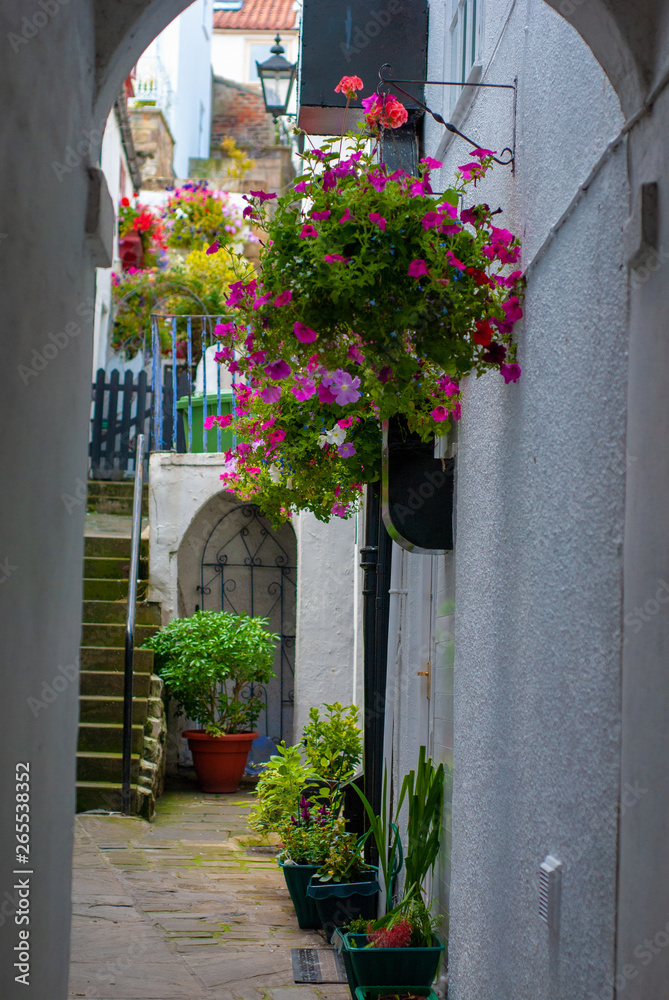 A small alley in Whitby, england, showing the old building styles and flowers. A small alley in Whitby, england, showing the old building styles and flowers.