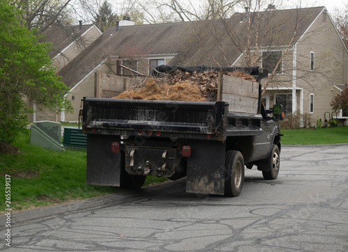 Truck with Dead Brush