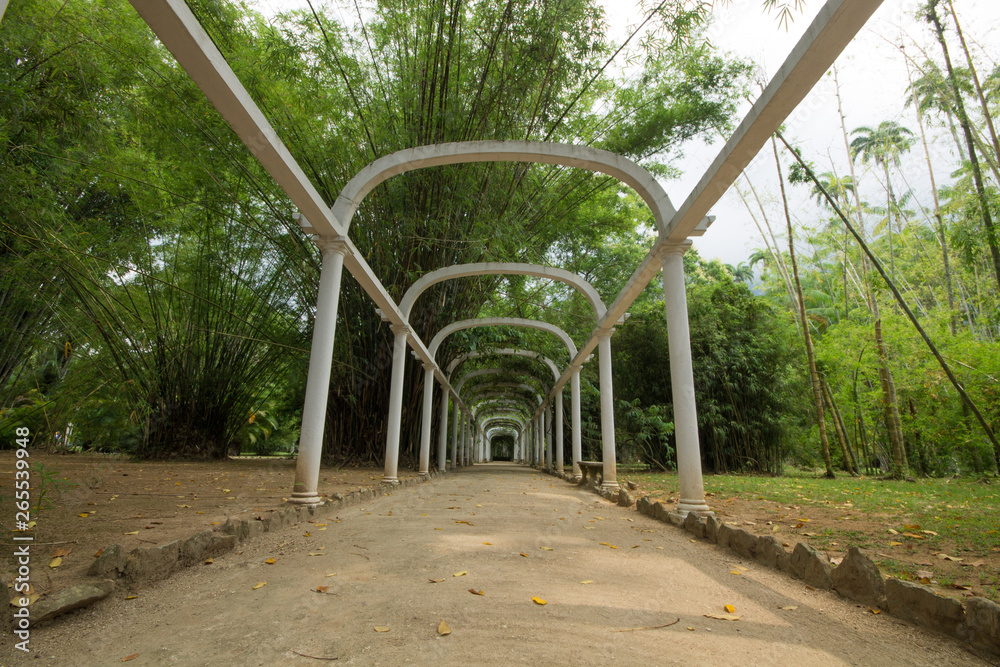 Botanical Garden of Rio de Janeiro Brazil Botanical Garden of Rio de Janeiro Brazil