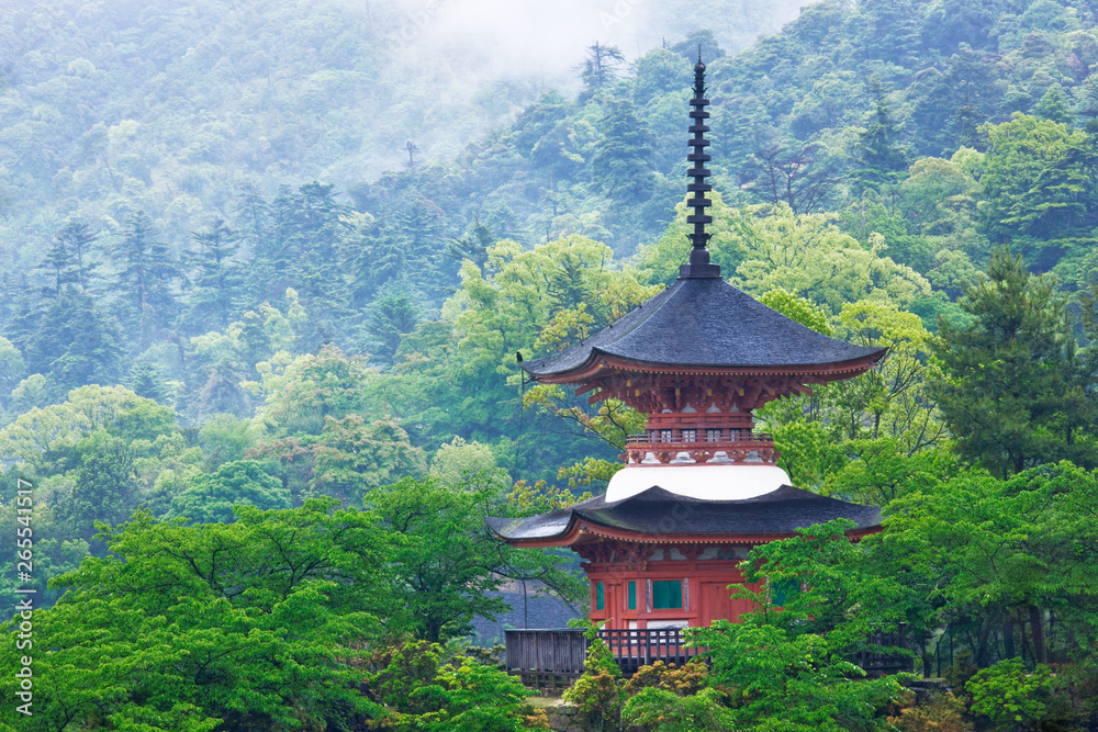 Pagoda, Honshu Island, Japan, Asia Pagoda, Honshu Island, Japan, Asia