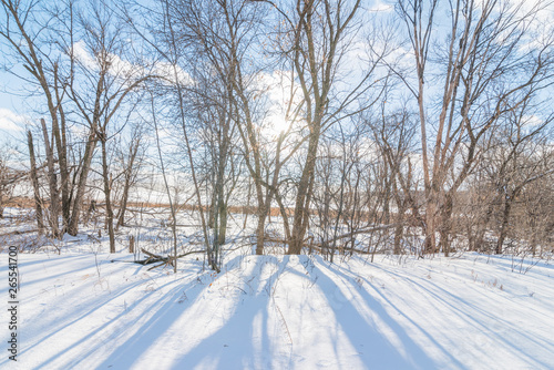 Trees and shadow of trees on snow on a beautiful sunny winter's day with blue skies and puffy white clouds - in the Minnesota Valley Wildlife Area © natmacstock