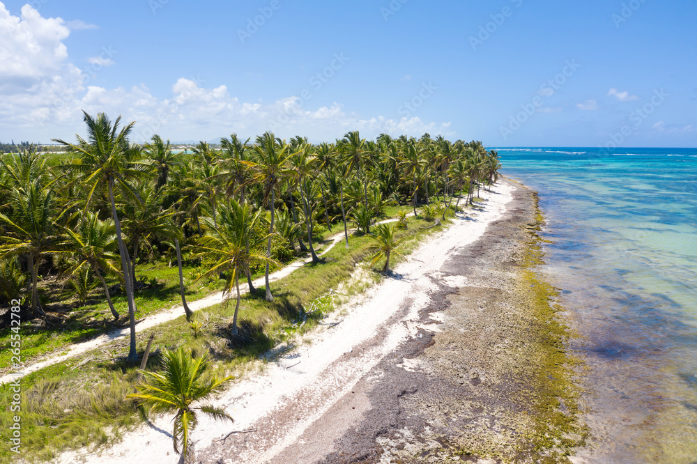 Aerial view on tropical island with coconut palm trees and turquoise caribbean sea Aerial view on tropical island with coconut palm trees and turquoise caribbean sea