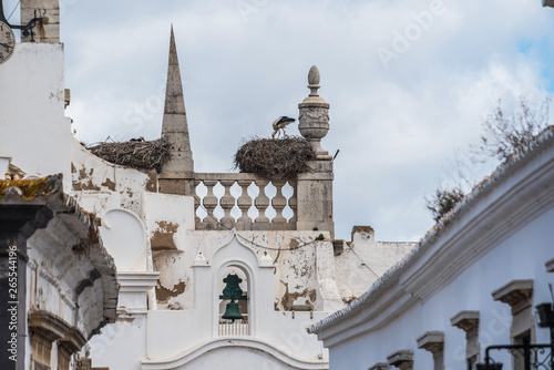 Storks nest on the roof of a house in Faro, Portugal