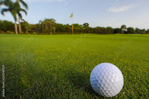 Golf ball rolling on putting green