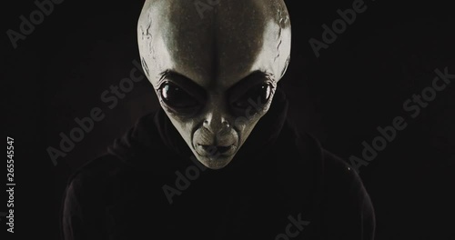 Grey alien creature has messages for human. posing in front of the camera photo