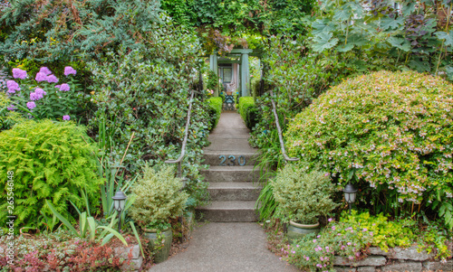 Steps in lush garden photo