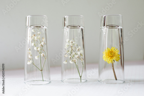 fragrance of flowers: gypsophila and dandelion flowers under glass shots; concept: summer memories