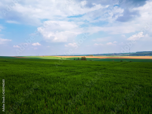 Green field of grass and blue sky with clouds in Bavaria, Germany