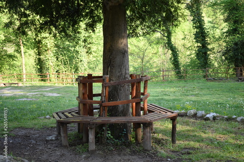 Wooden bench surrounding a tree