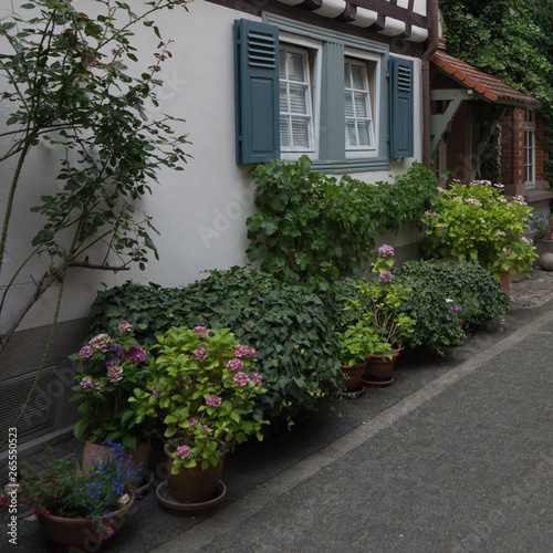 Historisches Fachwerkhaus mit viel Grün in Heppenheim / Bergstrasse