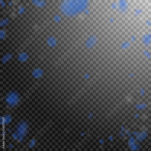 Dark blue flower petals falling down. Admirable ro