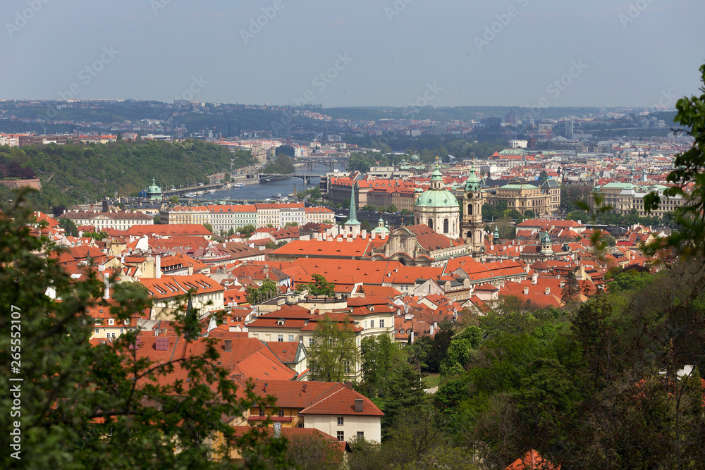 Obraz premium Spring Prague City with St. Nicholas' Cathedral and green Nature with flowering Trees from the Hill Petrin, Czech Republic