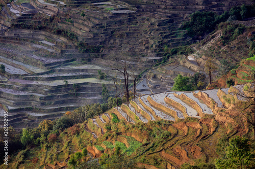 Samaba Rice Terrace Fields in Honghe County - Baohua township, Yunnan Province China. Sama Dam Multi-Color Terraces - grass, mud construction layered terraces filled with water. Hani and Yi Culture photo