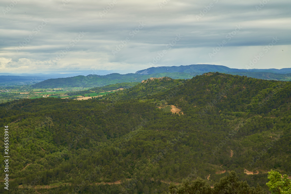 Fototapeta premium Forêt à perte de vue et au loin un village perché sur la colline