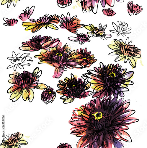 Seamless pattern with chrysanthemums. Drops of paint  watercolor paint. Stylish botanical background. Multicolored flowers  drawing by hand.