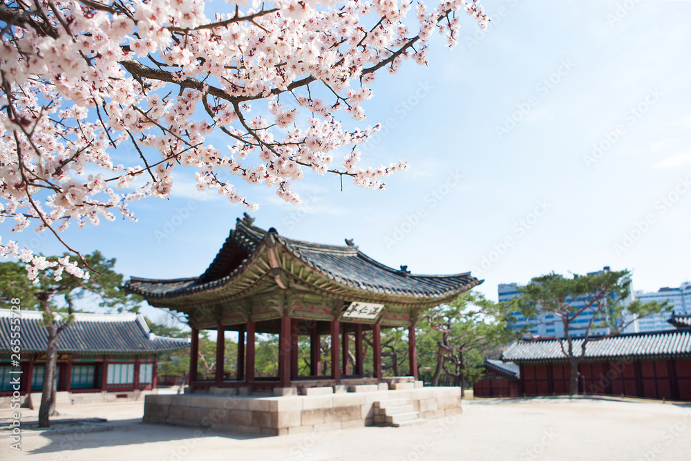 Changgyeonggung is the palace of the Joseon Dynasty. Changgyeonggung is the palace of the Joseon Dynasty.