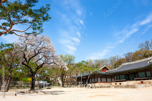 Changgyeonggung is the palace of the Joseon Dynasty.