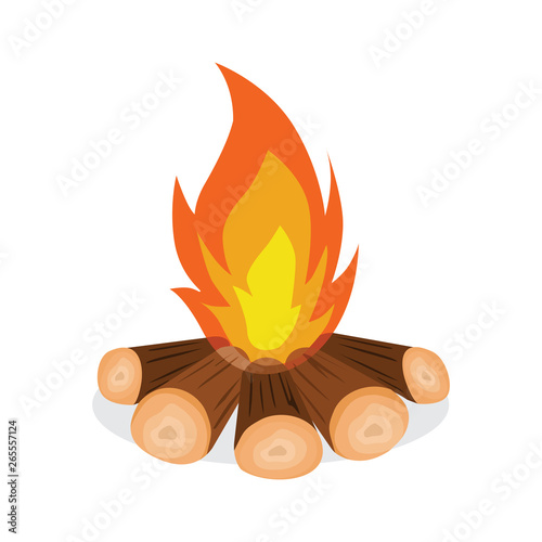 Firewood And Fire Icon Vector Illustration