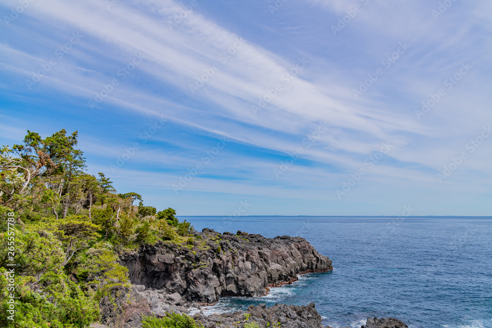 Obraz premium 静岡県伊東市 城ヶ崎海岸