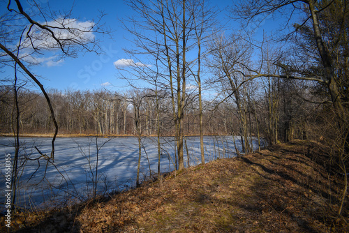 pond thawing in early spring