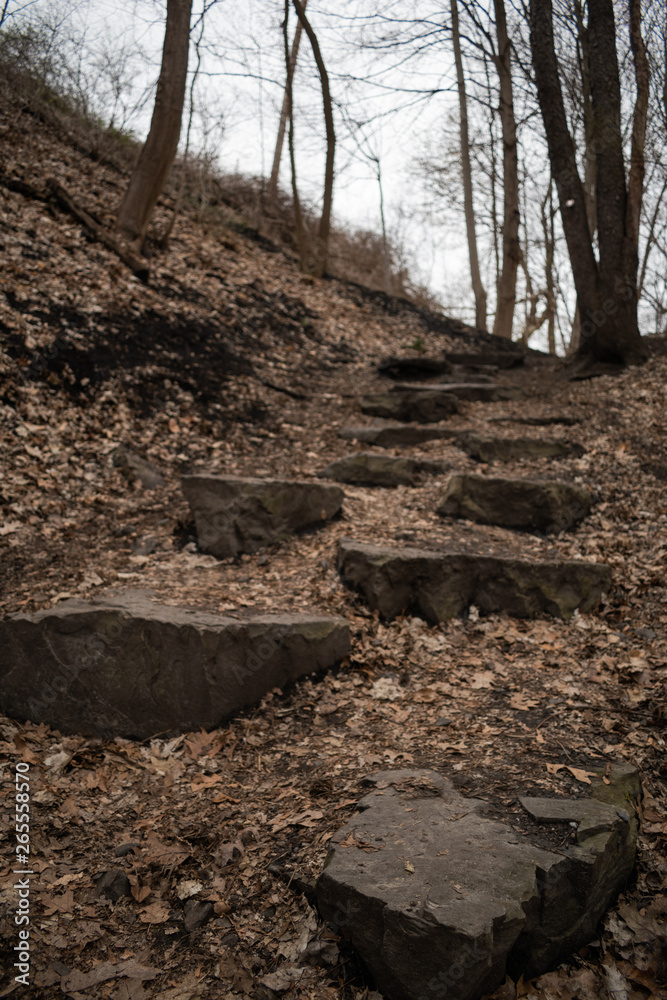 Fototapeta premium Neat steps made of stones