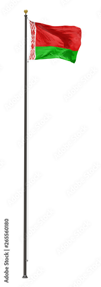 Belarus flag on a pole, isolated on a white background