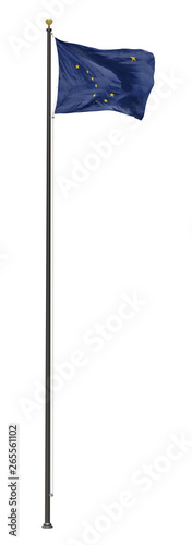 Alaskan flag on a pole, isolated on a white background