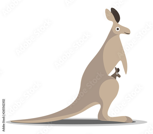 Kangaroo with baby vector or color illustration