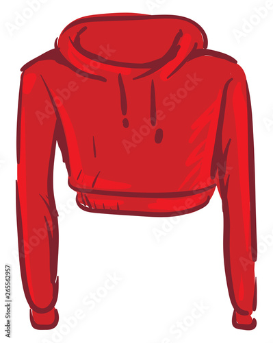 A red hoody vector or color illustration