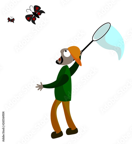 An entomologist trying to trap butterflies in the net vector or color illustration