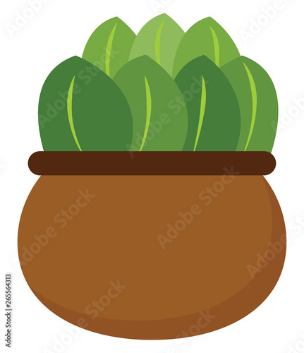 Clipart of a green plant potted on a brown earthen pot vector or color illustration