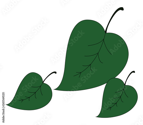 Leaves icon/Three deltoid-shaped leaves vector or color illustration