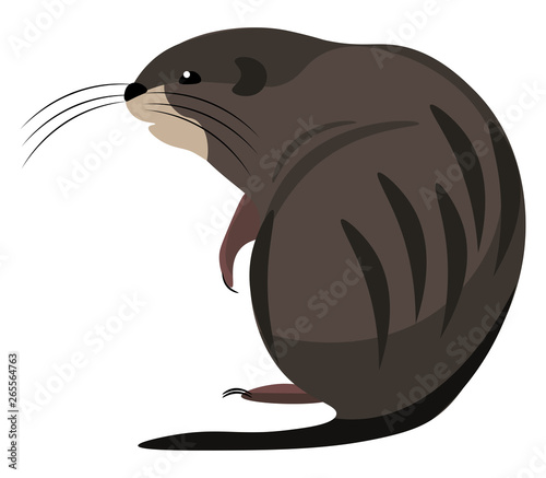 Cartoon muskrat set on isolated white background viewed from behind vector or color illustration
