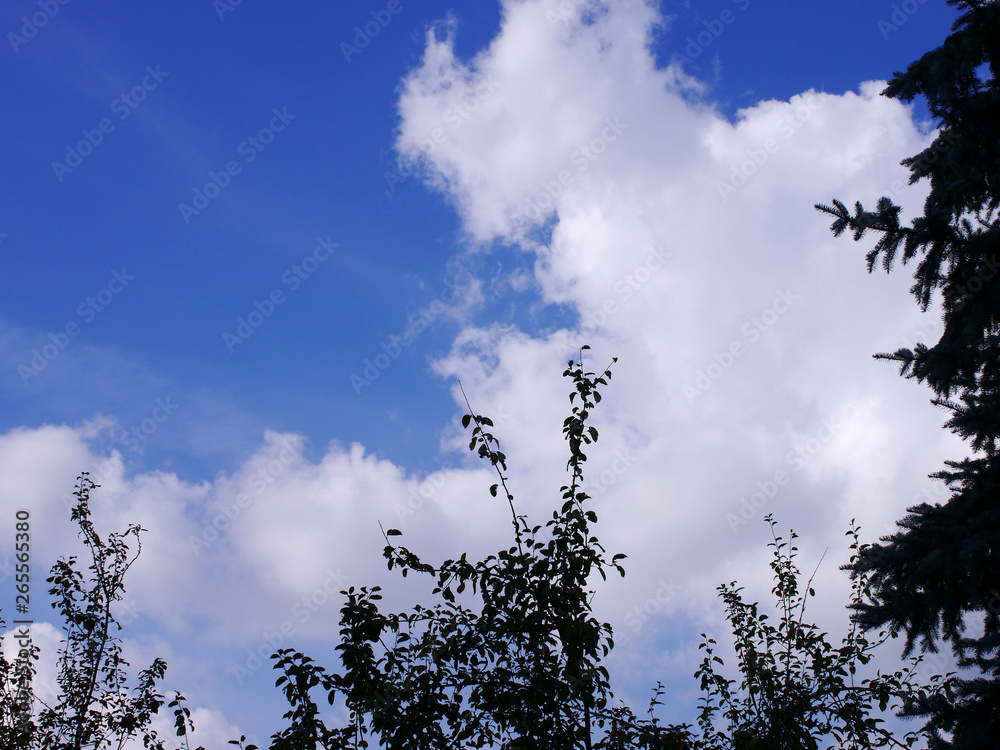 Bright blue sky in Germany and the branches of a tree Bright blue sky in Germany and the branches of a tree