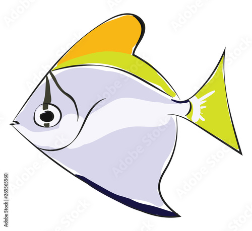 Monodactylus argentus/Silver moonyfish/Silver moony/Butter bream/Diamondfish vector or color illustration photo