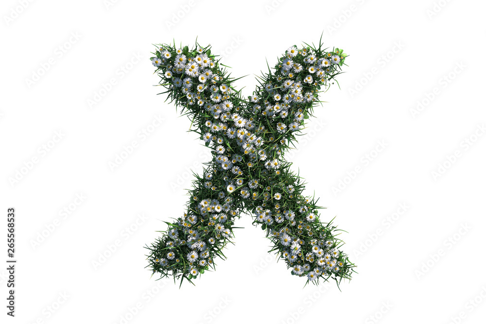 Letter X made from flowers