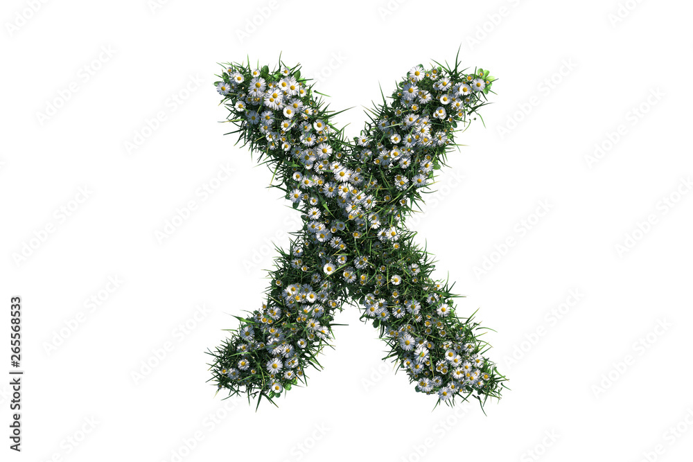 Letter X made from flowers Letter X made from flowers