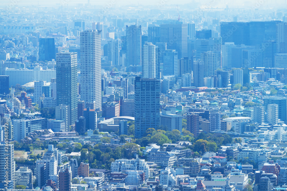 東京風景　2019　春　六本木から望遠で望む　大崎方面　高層ビル群
