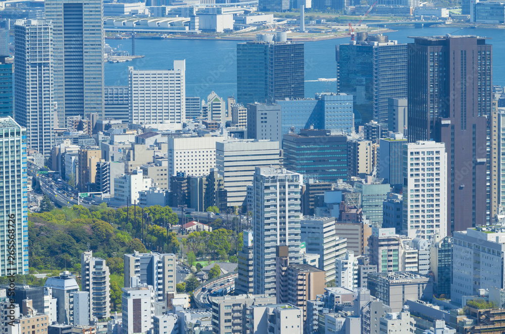 Naklejka premium 東京風景 2019 六本木から望遠で望む田町 豊洲方面