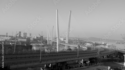 Vladivostok bridge