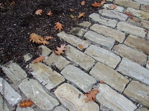 Leaves on the brick path in autumn