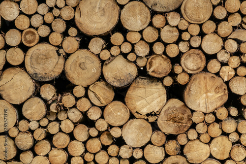 Stack of sawn logs. Natural wooden decor background.