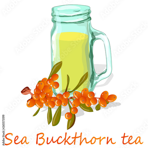 Cup of sea buckthorn tea. Branch of sea buckthorn berries with leaves. Vector illustration set on white background.