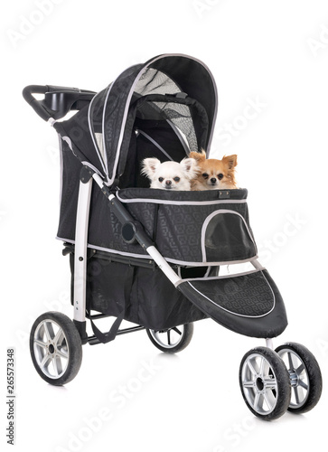 Εκτύπωση καμβά pushchair for dog