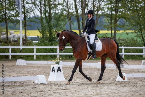 Horse with rider in dressage tournament trotting in limbo phase..