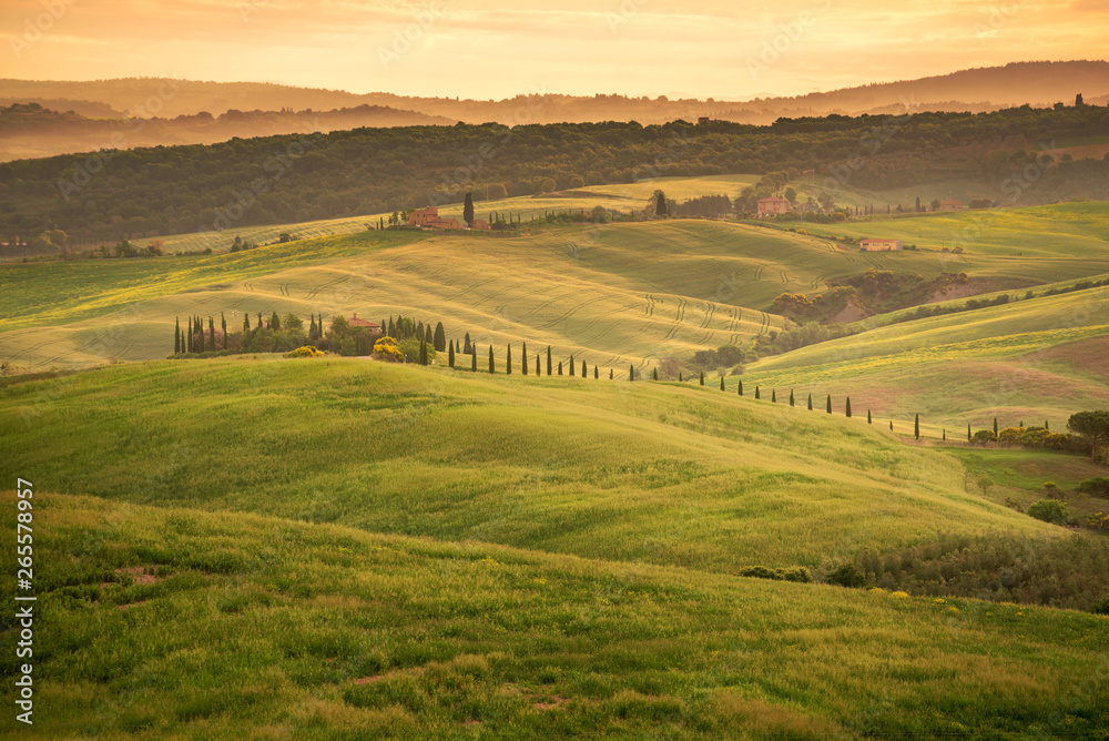 Country farm among grass hills in Tuscany, rural landscape. Countryside farm, cypresses trees, green field,Italy, Europe.
