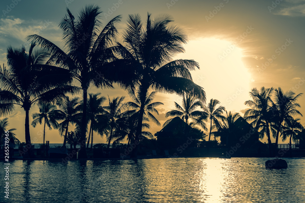 Tropical palm trees silhouette at sunset in Tahiti.